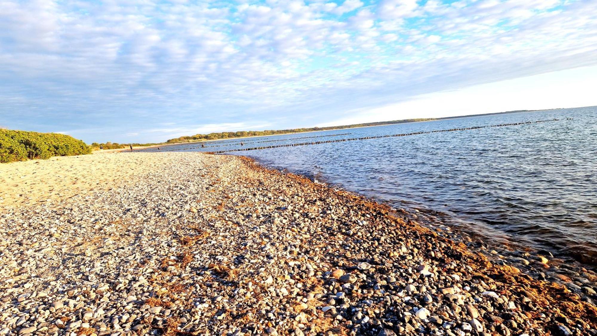App 8O Grosser Tag Am Meer Mit Wasserblick Дранске Экстерьер фото