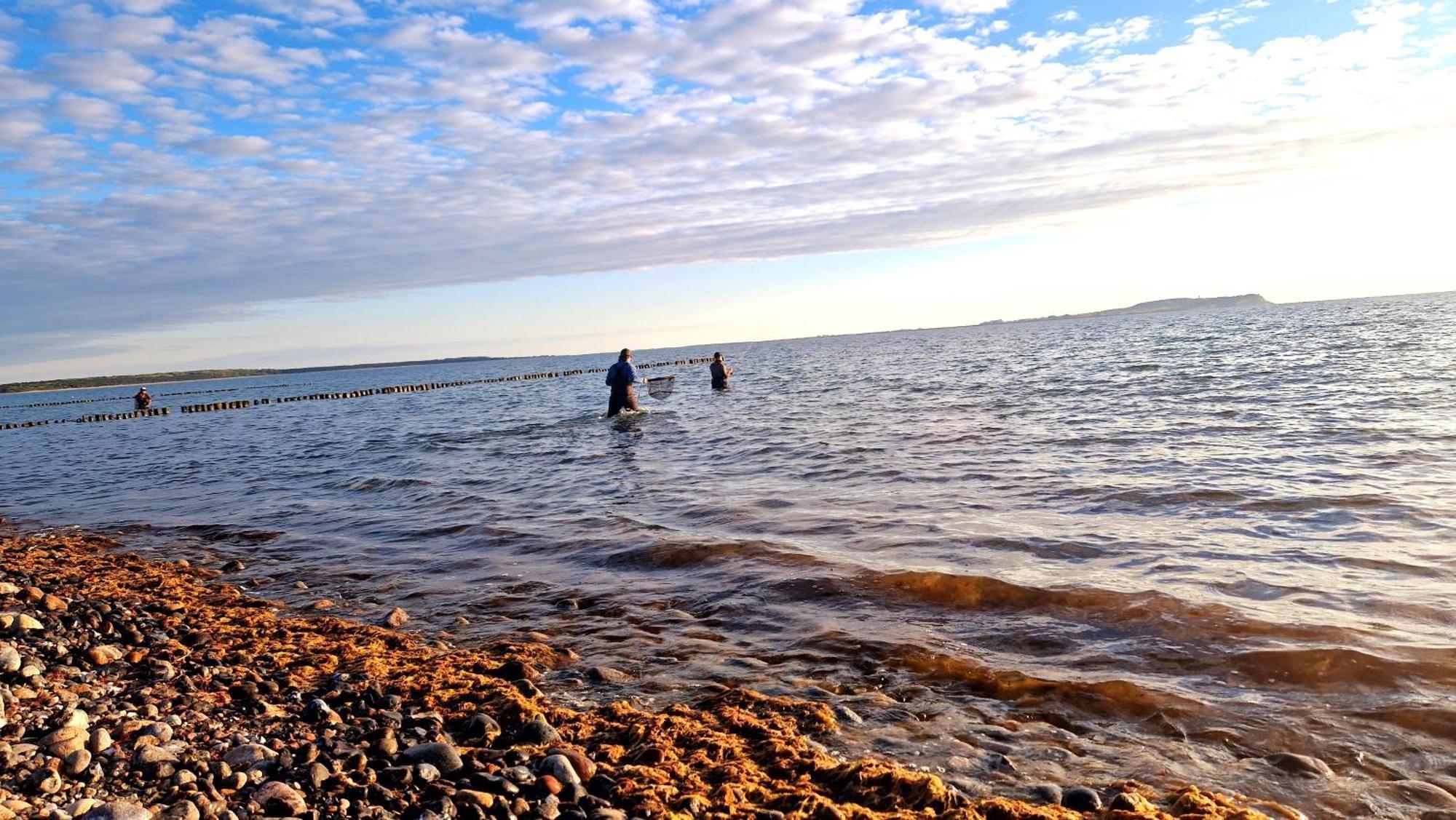 App 8O Grosser Tag Am Meer Mit Wasserblick Дранске Экстерьер фото